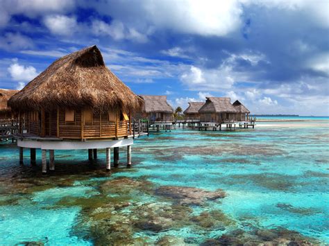 dream vacation freeroll password|Dream Vacations.